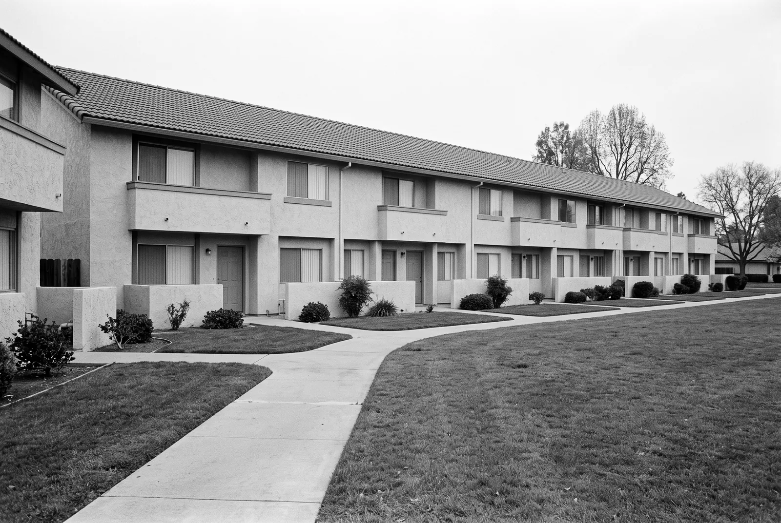 Render of a row of two story attached stucco townhomes with small walled patios, facing a shared concrete walk and lawn.