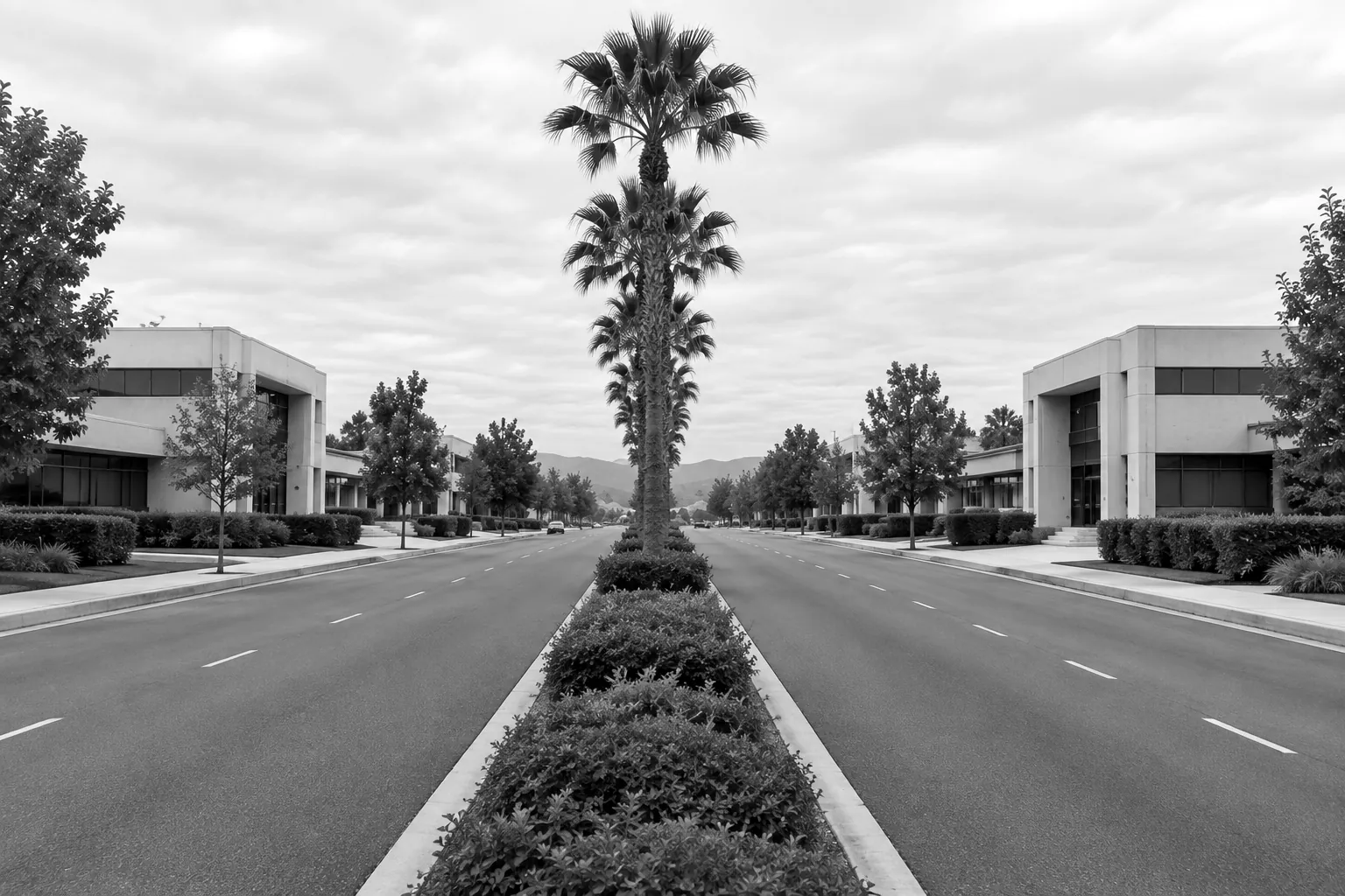 Render of a wide boulevard with a planted median and a low institutional building on each side.